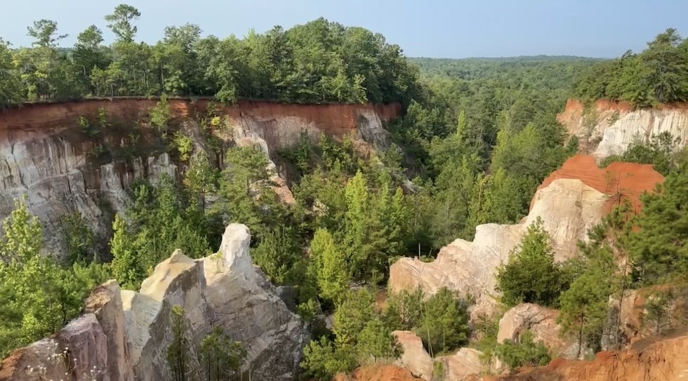 Providence Canyon spans over 1,000 acres and attracts roughly 100,000 visitors a year. It is...