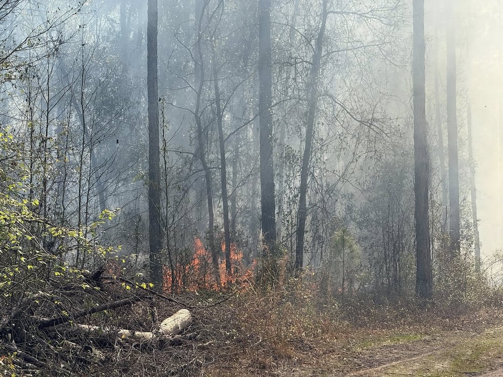 Lowndes county wildfire