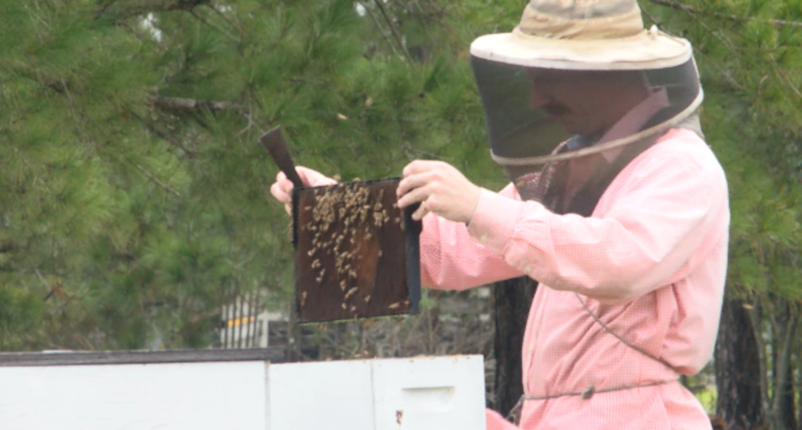 A small, family-owned apiary in Pelham, Ga., Proffitt Apiaries, is asking for help after...