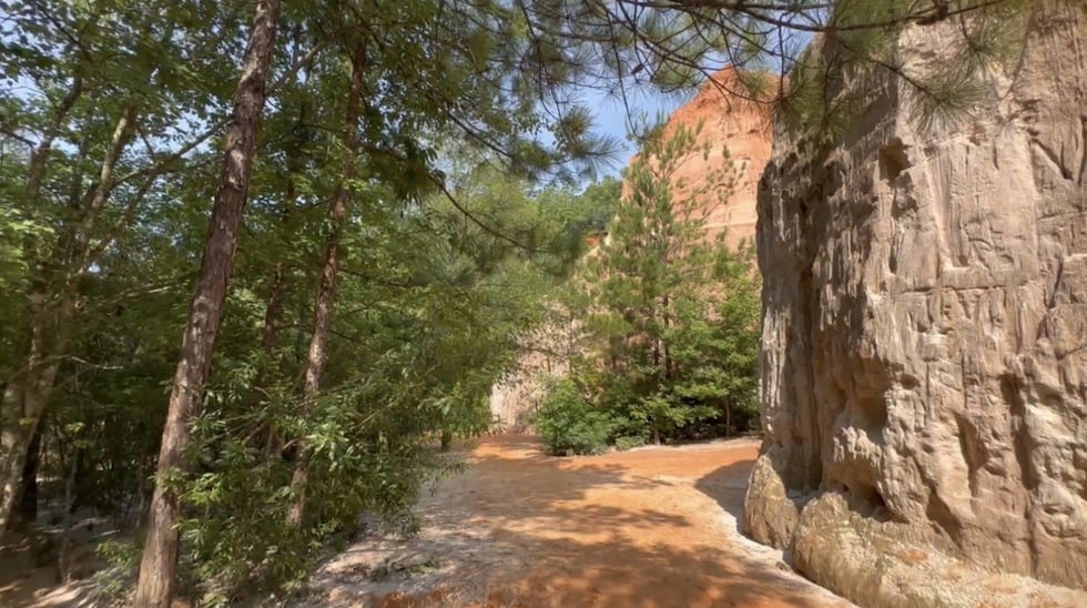 Providence Canyon spans over 1,000 acres and attracts roughly 100,000 visitors a year. It is...