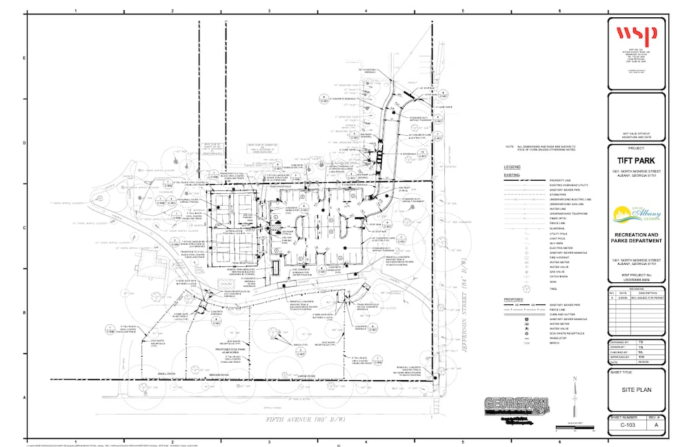 Tift Park (Albany, GA) redesign project