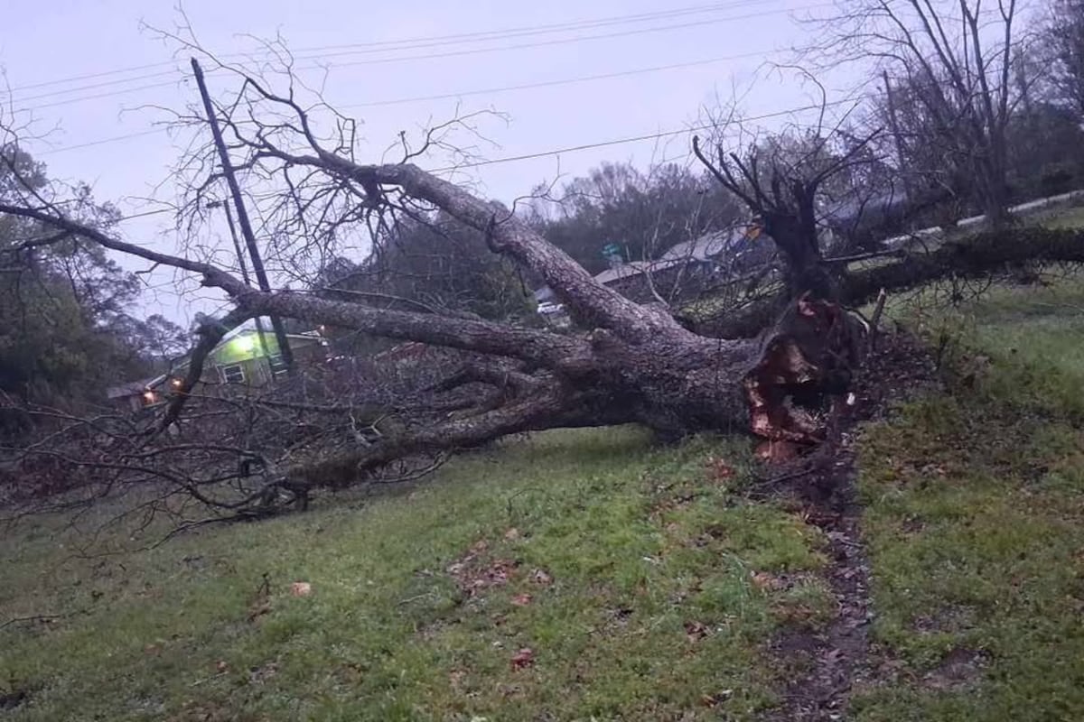 preloaded gallery image