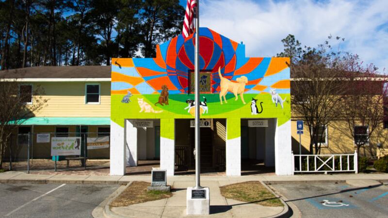 For the first time ever, every dog at the Humane Society for Greater Savannah's Adoption...