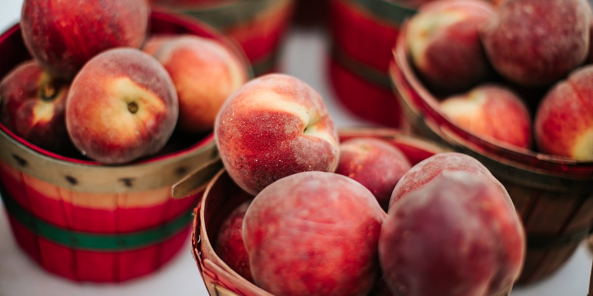 Georgia grown peaches exported to Mexico for first time in 27 Years