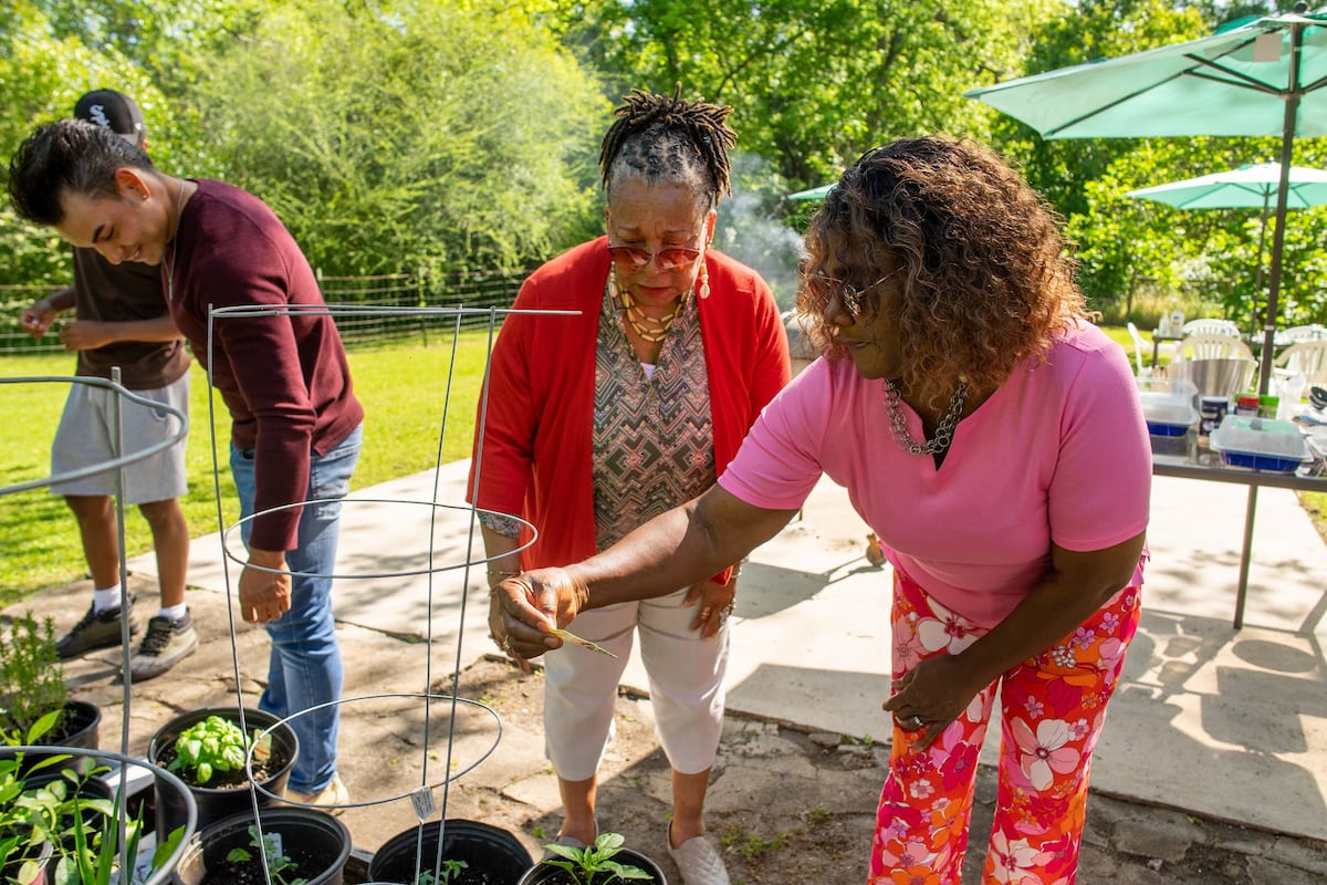 preloaded gallery image