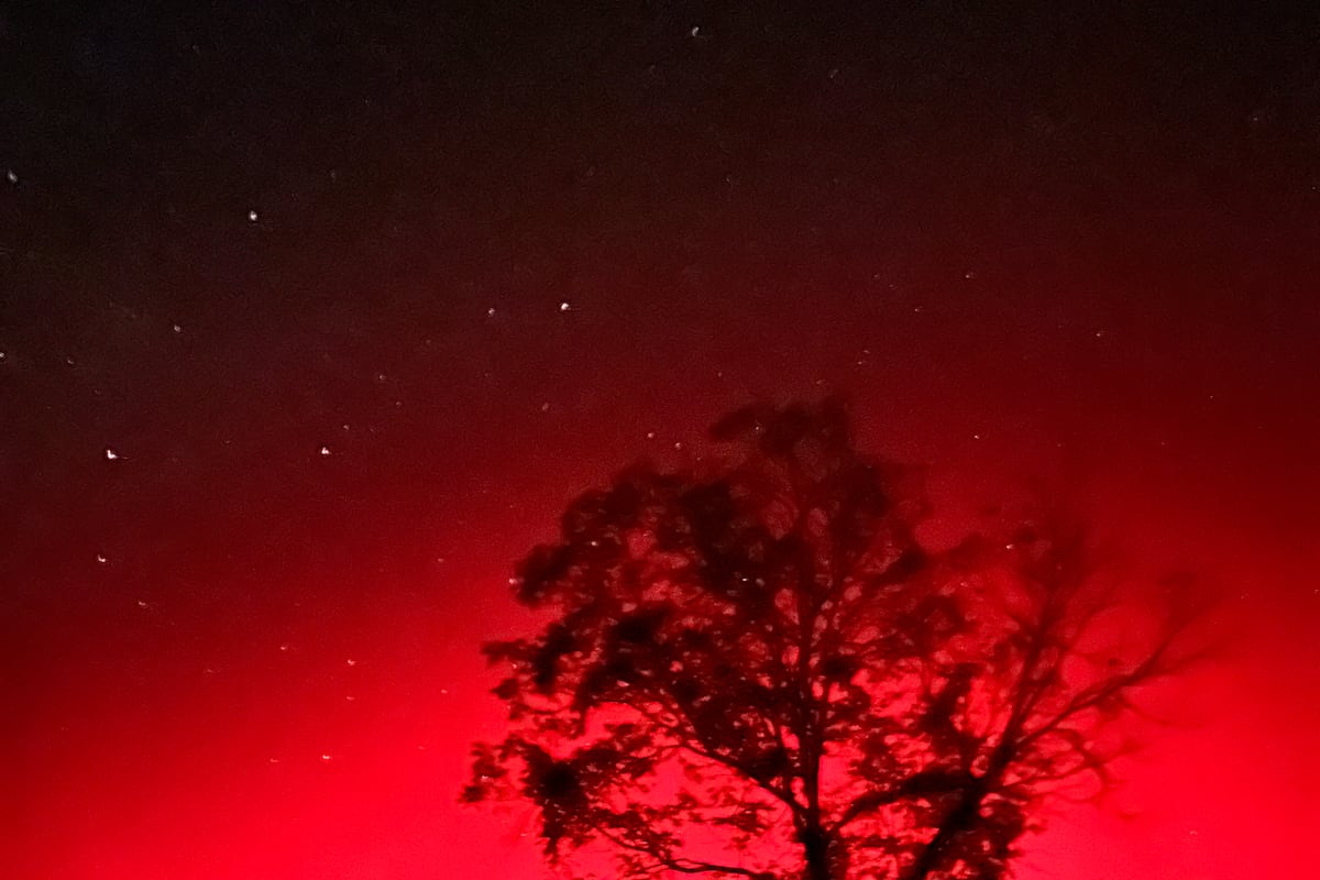 preloaded gallery image