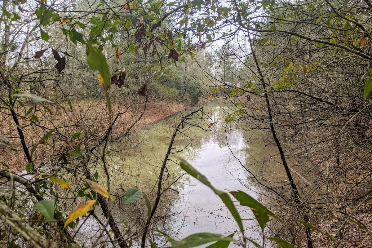 preloaded gallery image