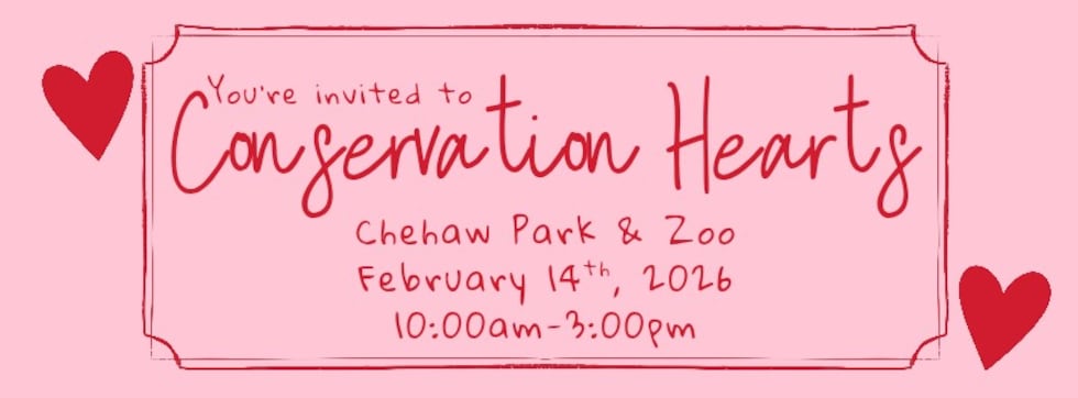 “Conservation Hearts” at Chehaw Park & Zoo