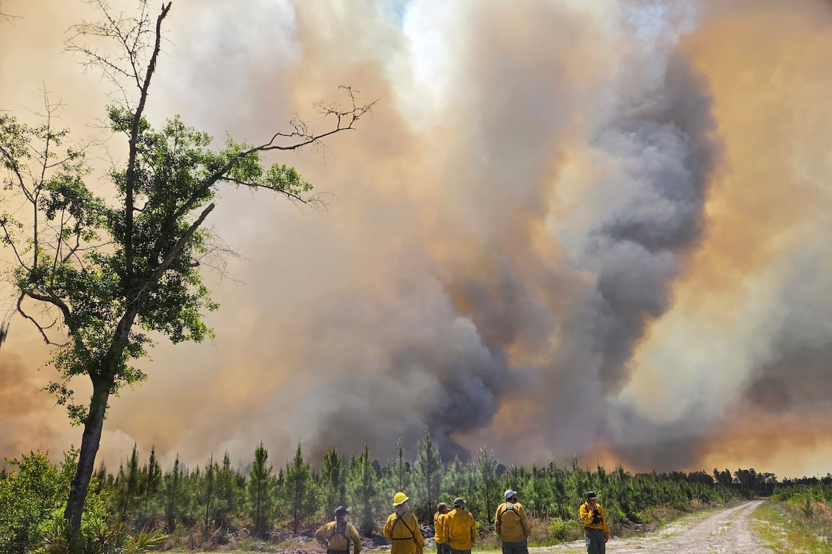 preloaded gallery image