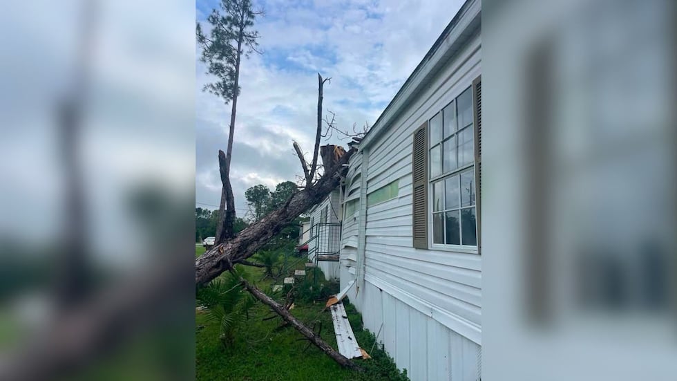 Valdosta woman says tree service dropped tree on her home, then disappeared