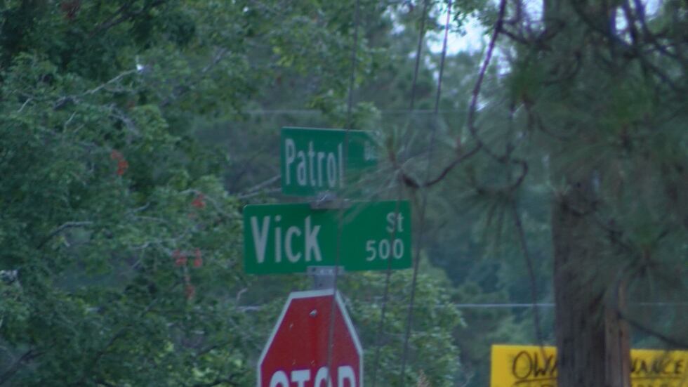 The two kids were last seen around 12:30 in the afternoon on Patrol Drive. (Source: WALB)
