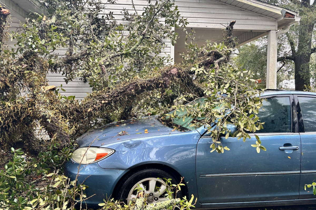 preloaded gallery image