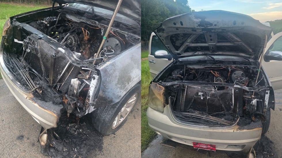 Albany man stops help extinguish car fire on I-75 before firefighters arrive
