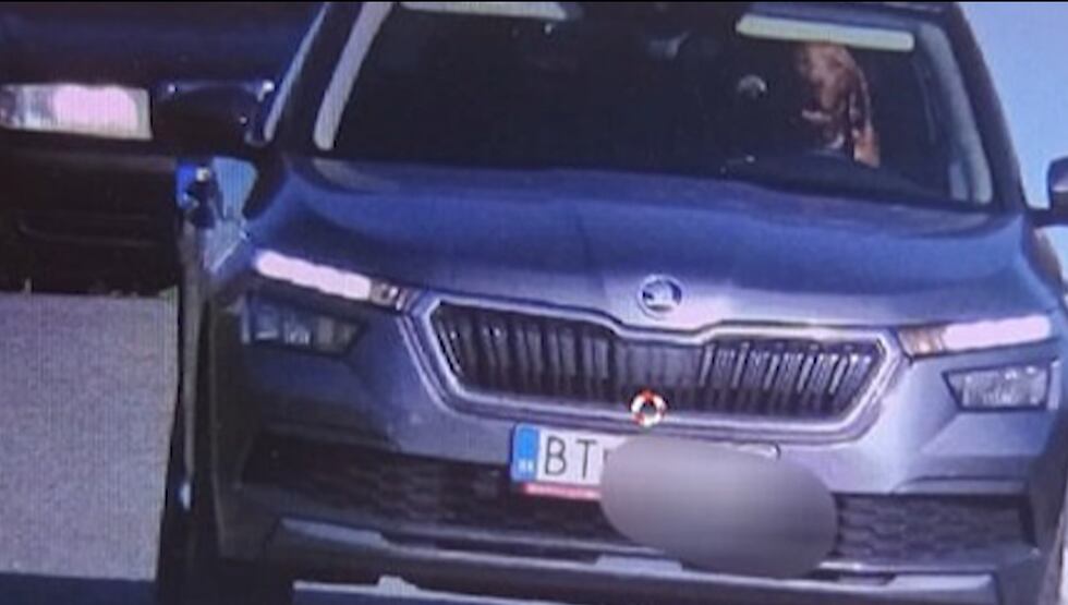 Police were shocked to see a dog in the driver's seat of this car in Slovakia.