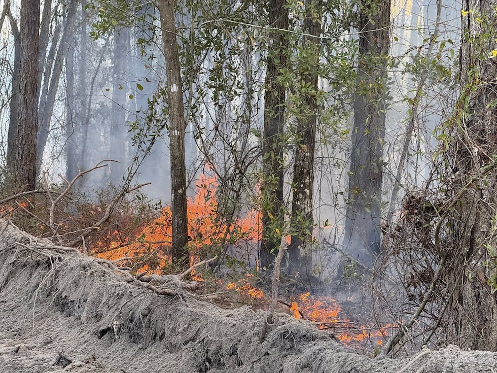 Lowndes county Wildfire