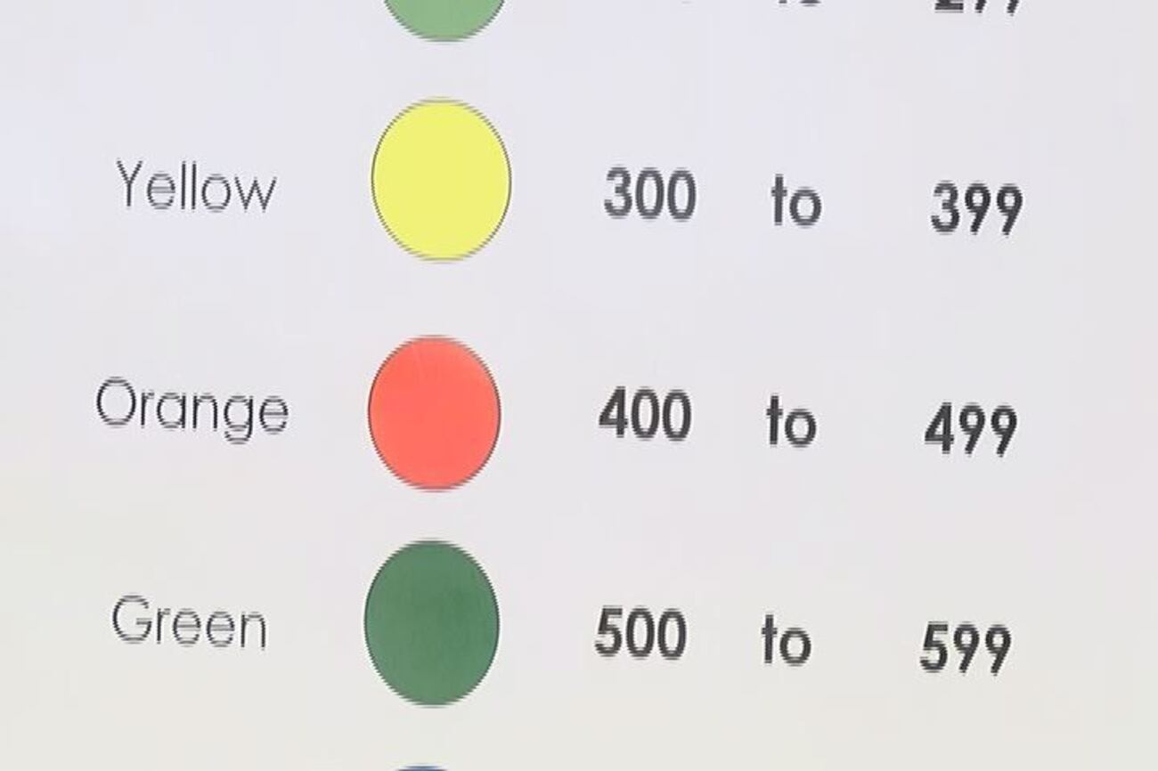 Albany elementary school creates reading level color coding system