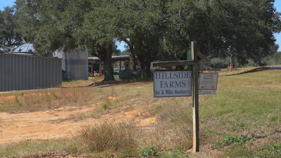 Four generations of farming legacy live on in Early County peanut fields
