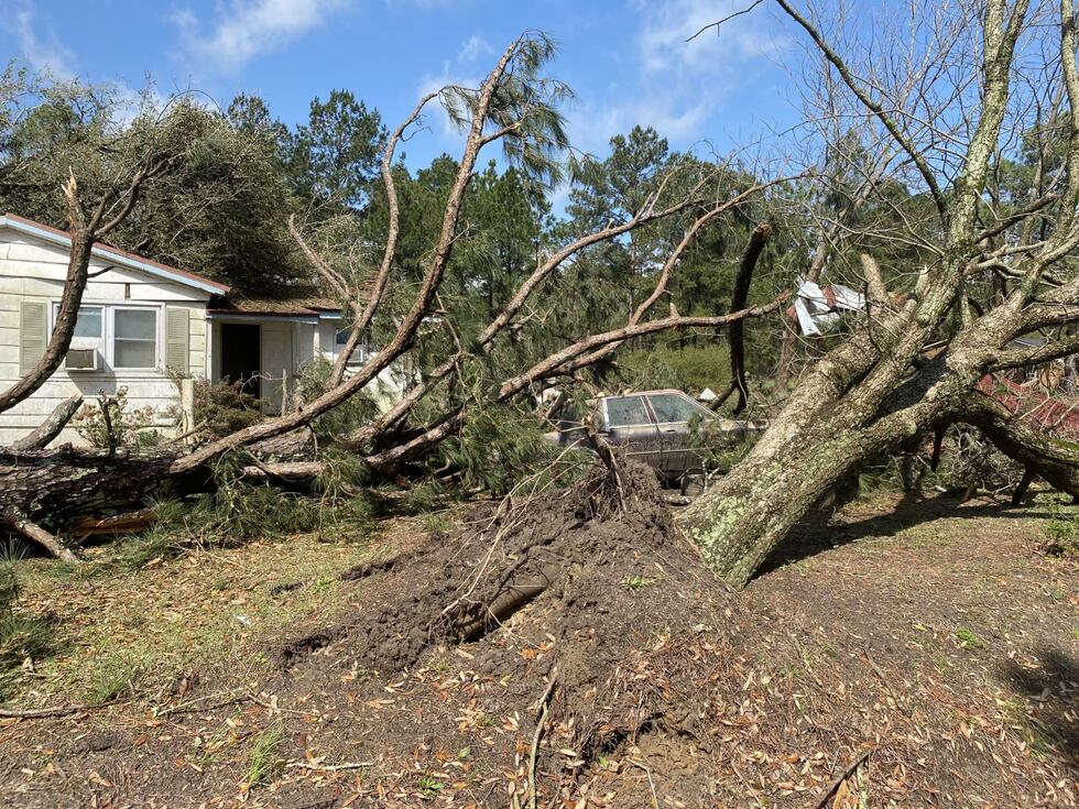 A large downed tree at a Lee County home following Thursday's severe weather.