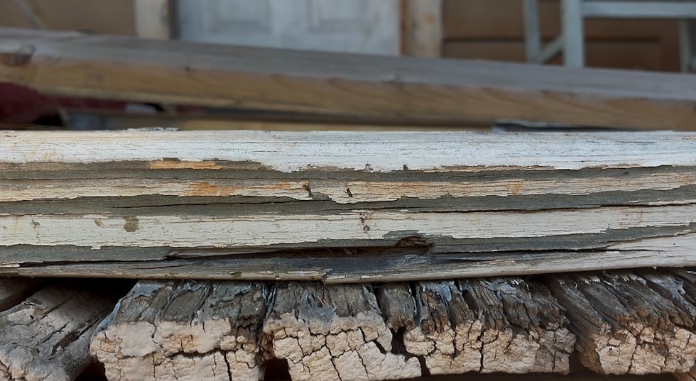 QUICK THINKING: How the boss saved a construction worker’s life