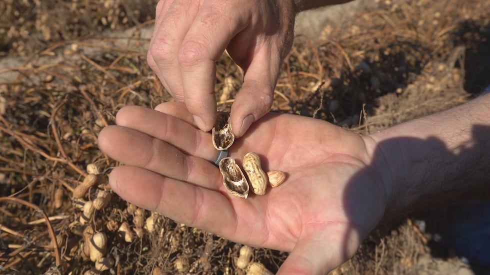 Proud to be a Georgia Farmer: Ryan Ireland