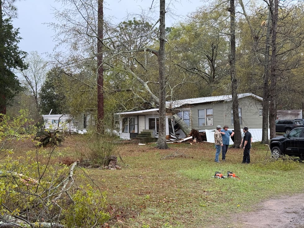 A tree fell on a home on Birch Road in Worth County.