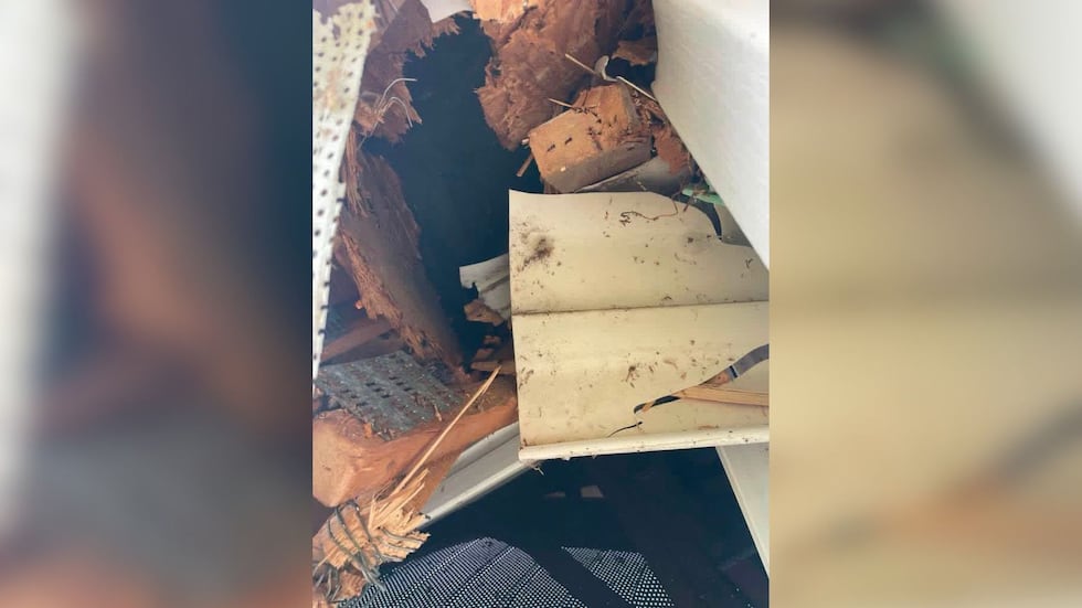 Valdosta woman says tree service dropped tree on her home, then disappeared