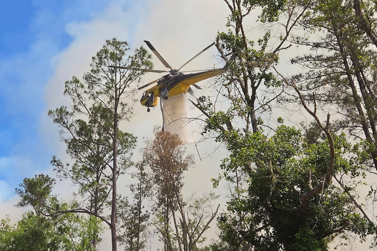 preloaded gallery image