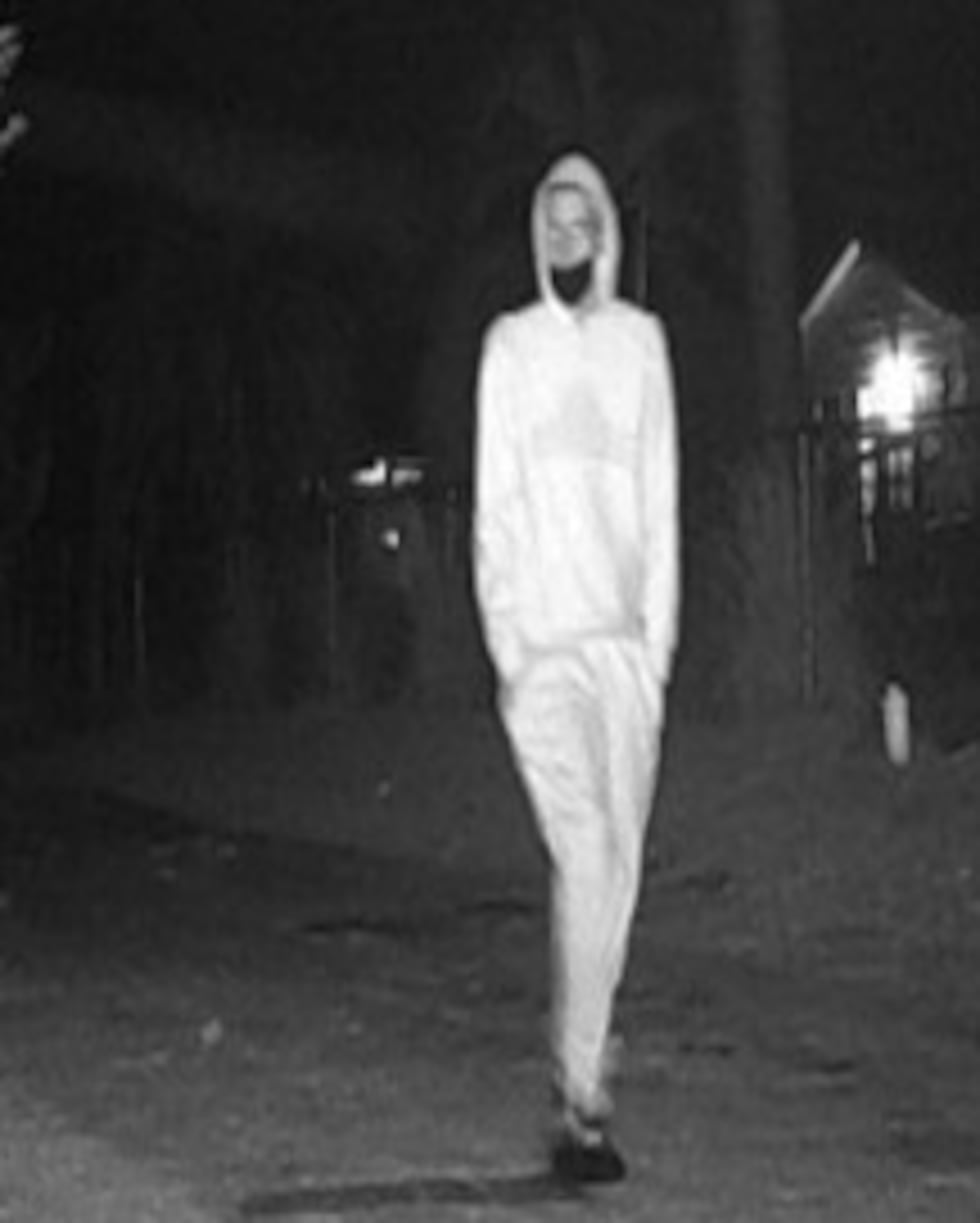 Individual accused of an entering auto incident