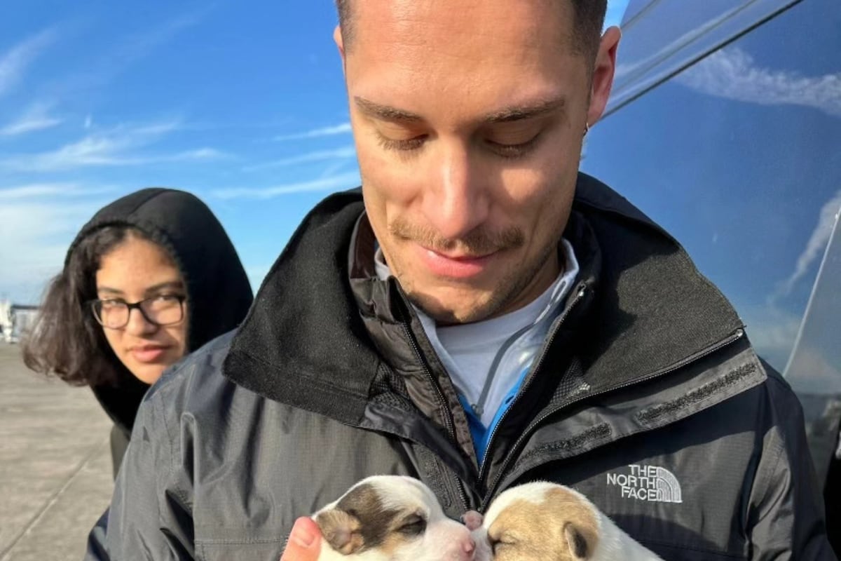 preloaded gallery image