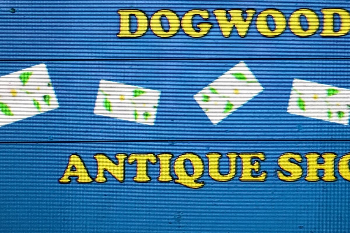 preloaded gallery image