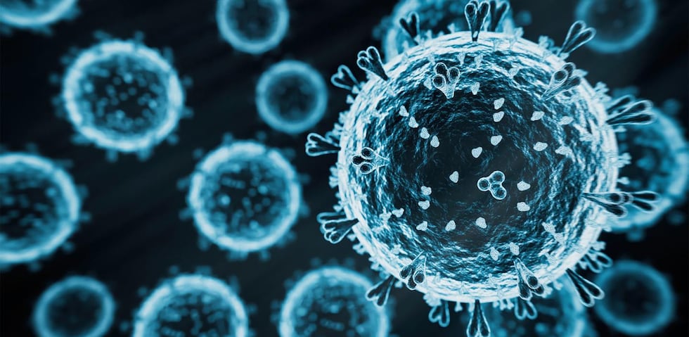 Highly Pathogenic Avian Influenza