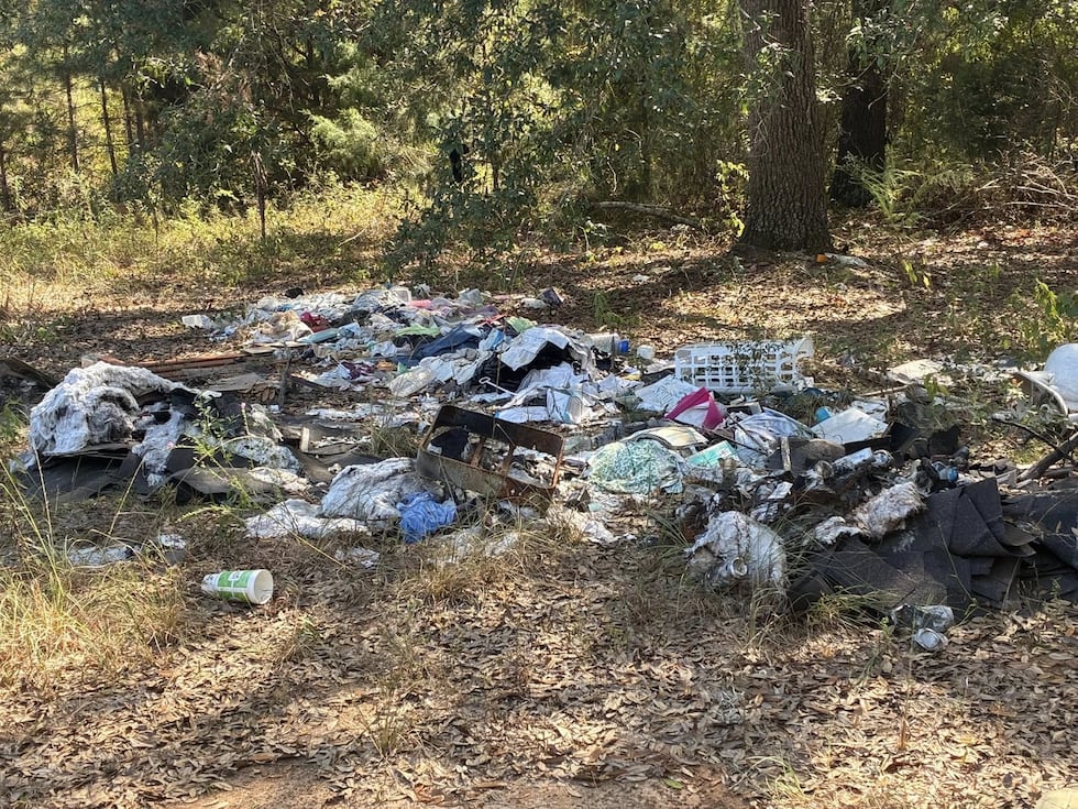 Vandalism and Illegal Dumping in Albany