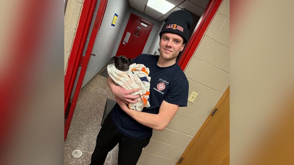 With animal control unavailable Sunday night, firefighters took the puppy back to the station...