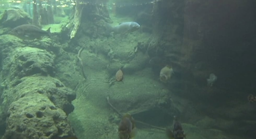 Experts say South Georgia generally has abundant water resources, but the region also...