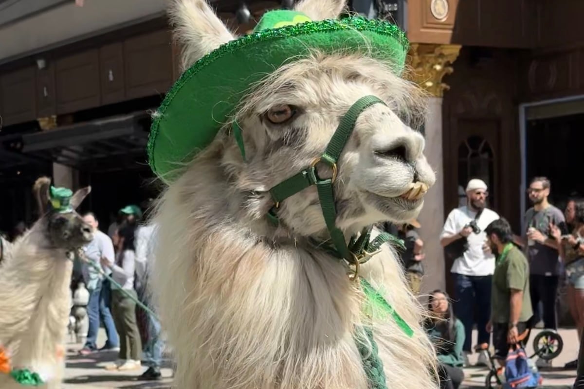 preloaded gallery image