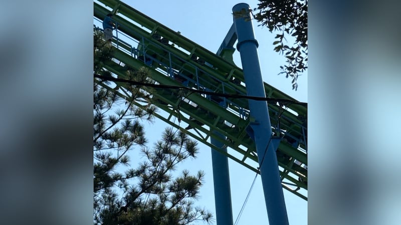 Wild Adventures power outage