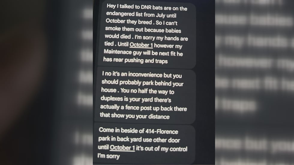 Landlord acknowledges rat and bat problem