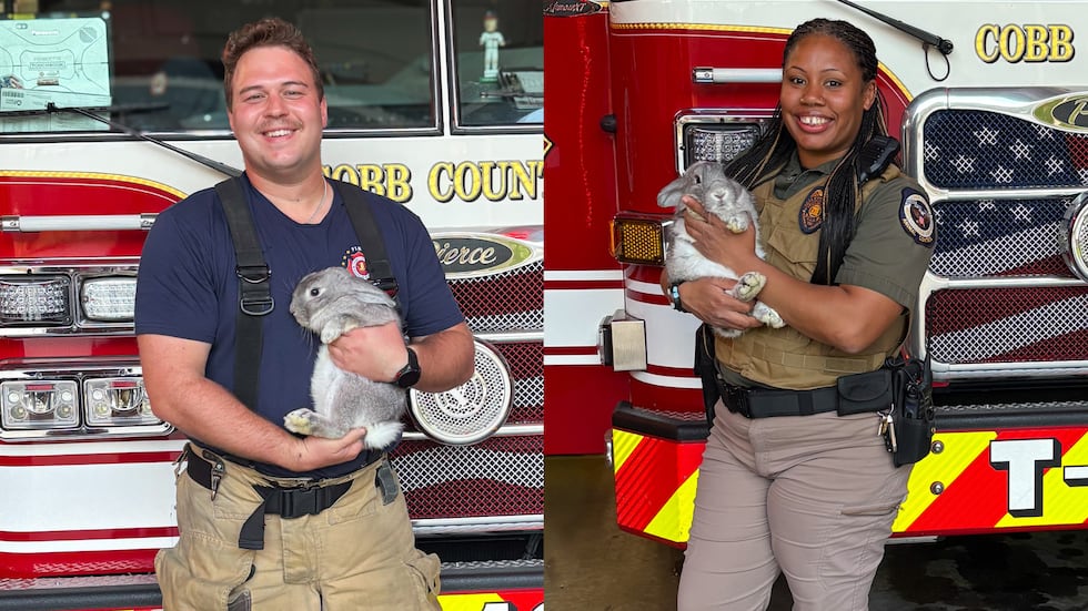 A Cobb County fire station took in five rabbits that were abandoned at a local store.