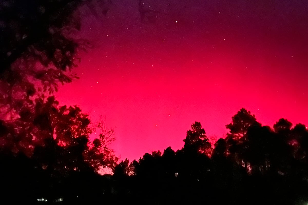 preloaded gallery image