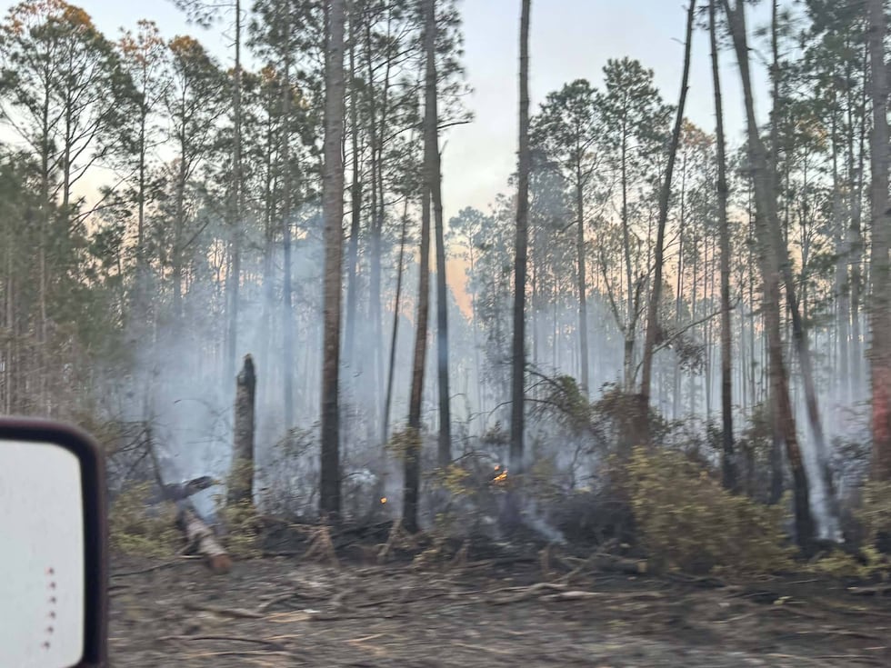 South Georgia firefighters battle 9 separate fires in one city