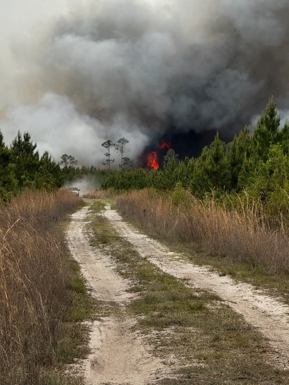 This photo provided by the Georgia Department of Natural Resources shows smoke fills the sky...