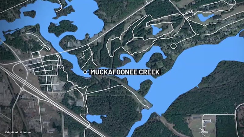 Search continues for man who jumped into Flint River, seemingly in an effort to avoid license...