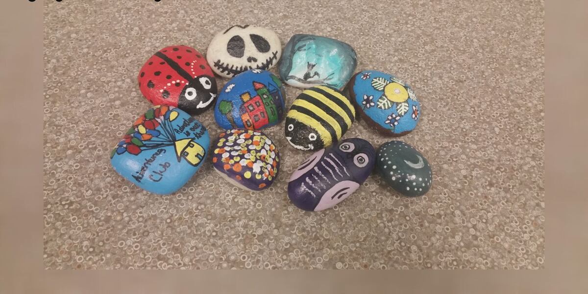 DOCO Library begins temporary fine forgiveness program