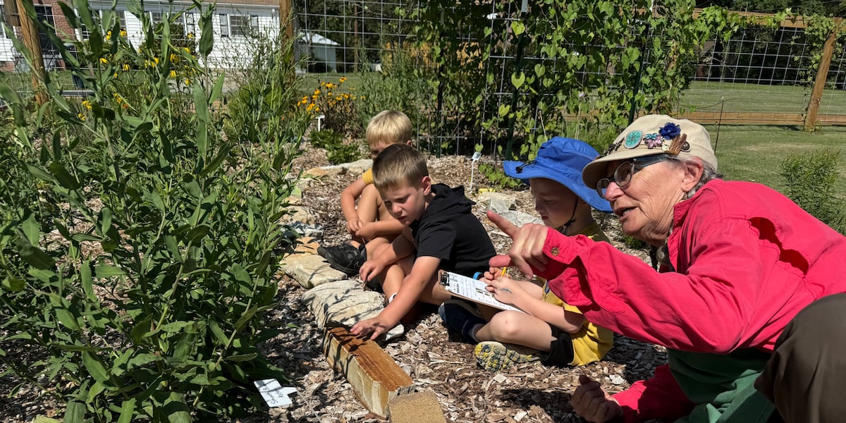 Wildlife viewing grant applications now open