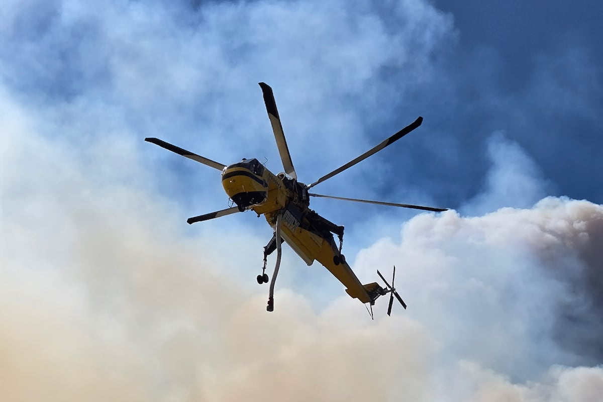 preloaded gallery image