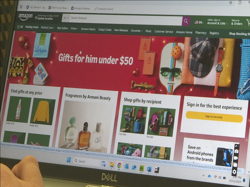 The logos and layout designs are made out to look like the large retail sites such as Amazon...