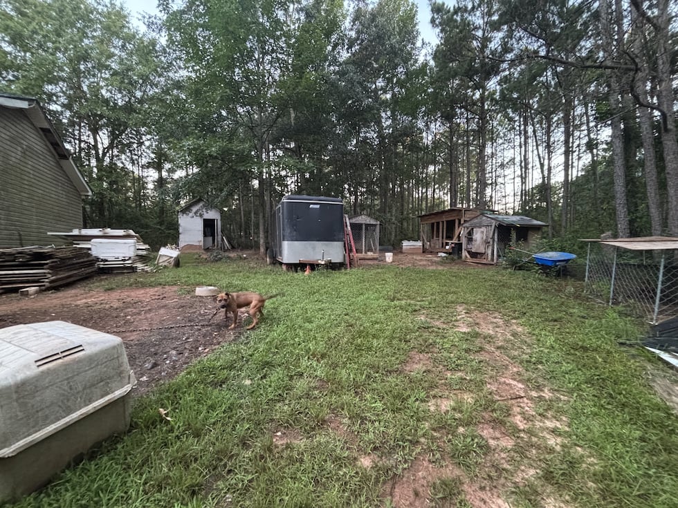 Georgia Agriculture Commissioner Announces Seizure of 23 Dogs, Firearms, and Narcotics in...
