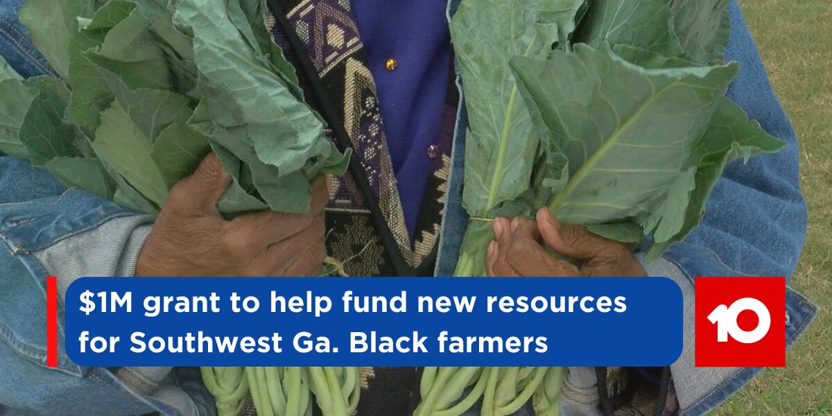 $1M grant to help fund new resources Southwest Ga. Black farmers