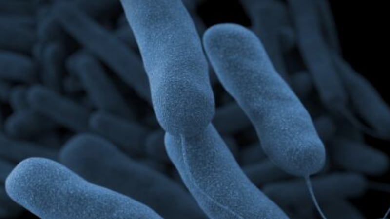 The Georgia Department of Public Health says its investigation into Legionnaires’ disease at...